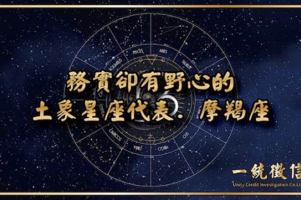 【務實卻有野心的土象星座代表．摩羯座】